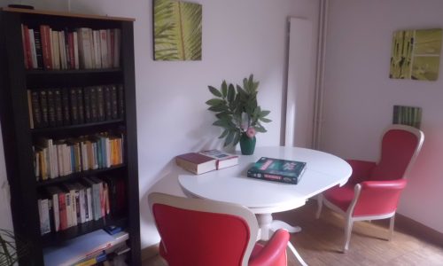 Salon bibliothèque