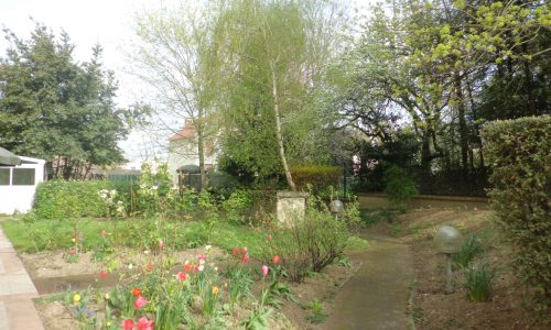 Jardin fleuri