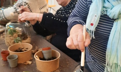 Atelier terrarium