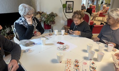 Les rôles s&rsquo;échangent, les résidents apprennent aux salariés le rami 🎲♟️