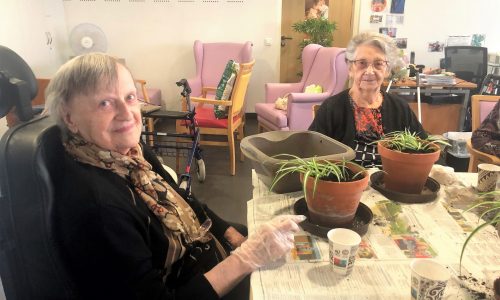 Un peu de jardinage