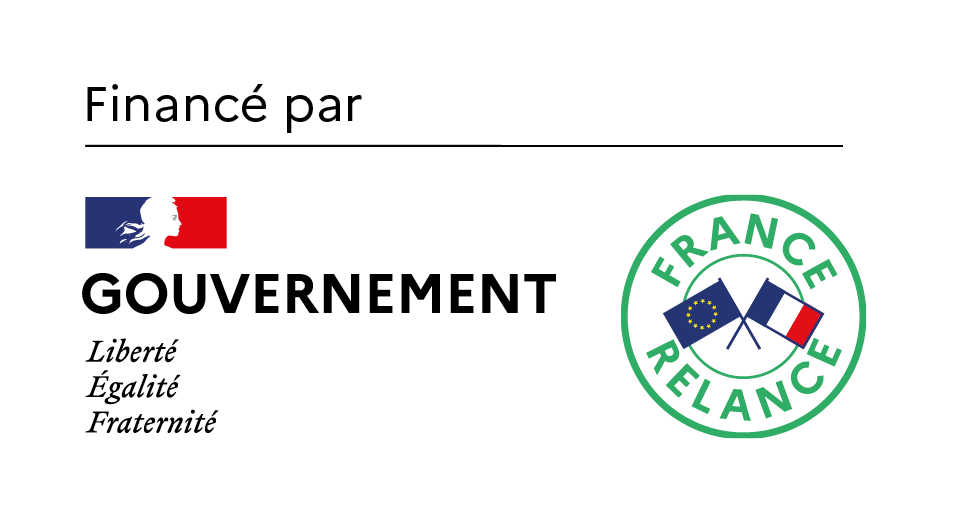 Plan d&rsquo;aide à l&rsquo;investissement