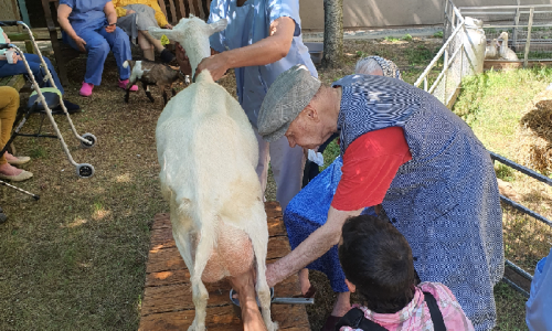 La ferme à l&rsquo;EHPAD
