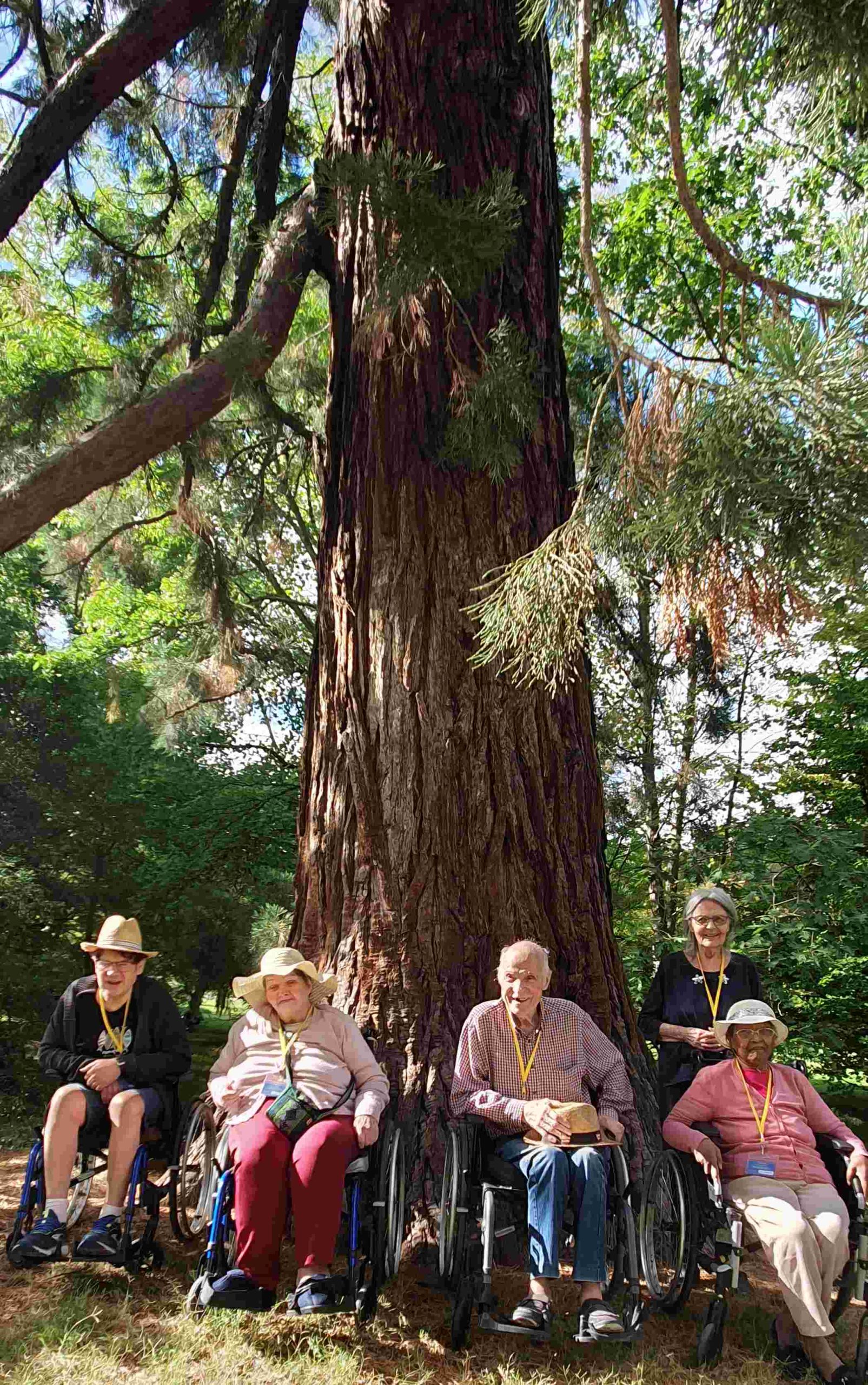 Virée à l&rsquo;Arboretum