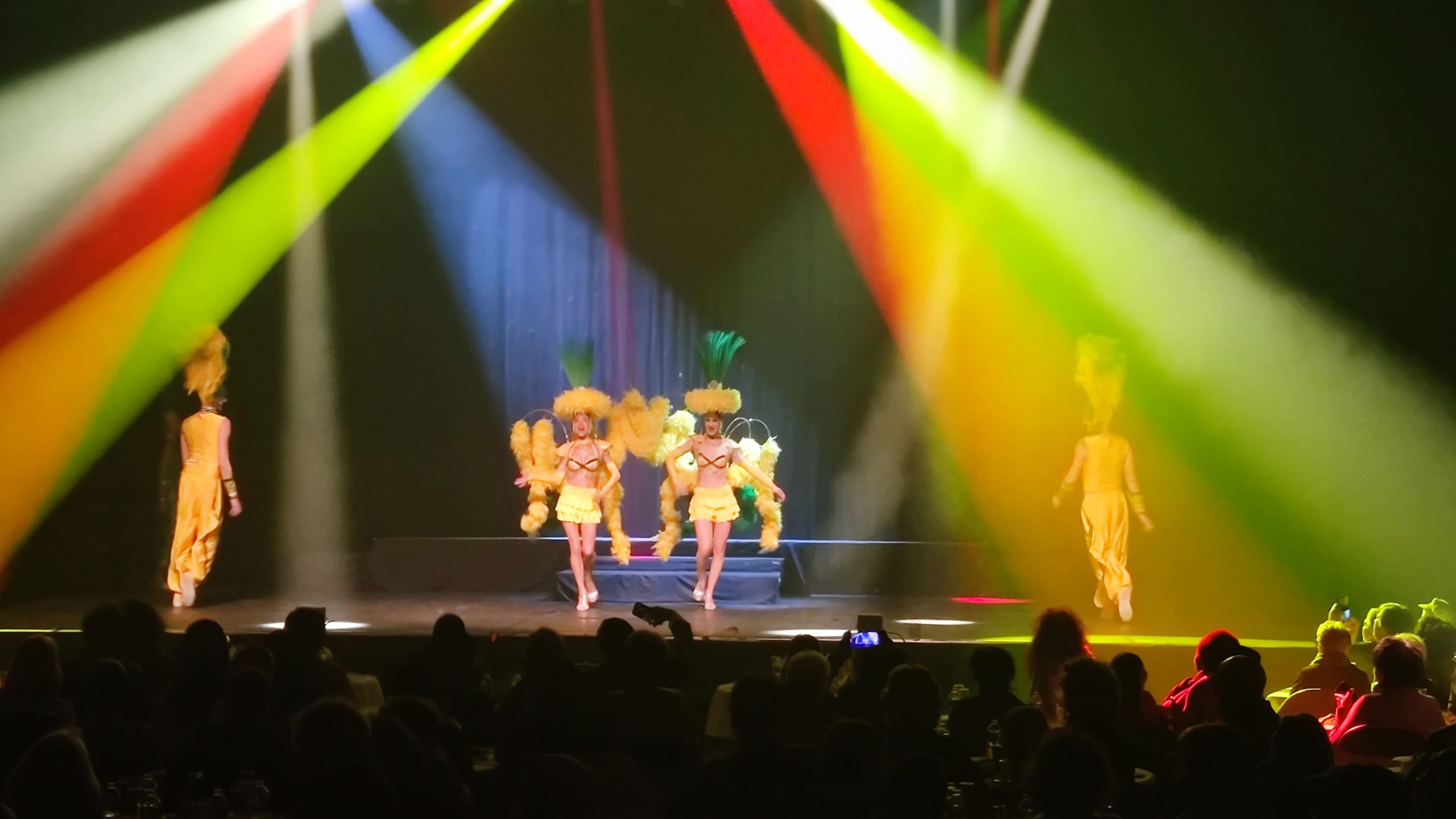 Une sortie magique au Cabaret des séniors