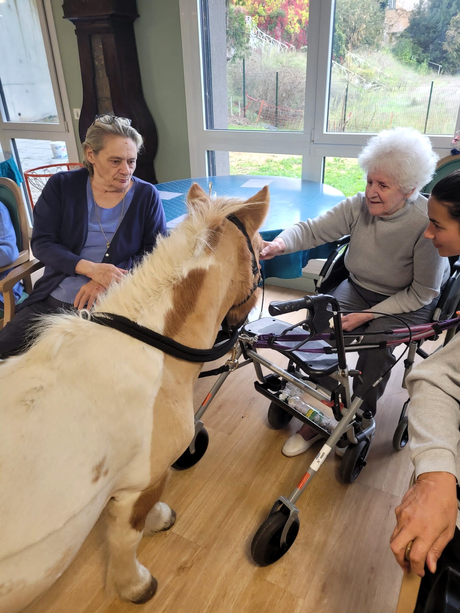 Une ponette à la Résidence du Château