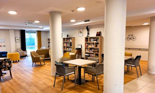 SALON BIBLIOTHEQUE