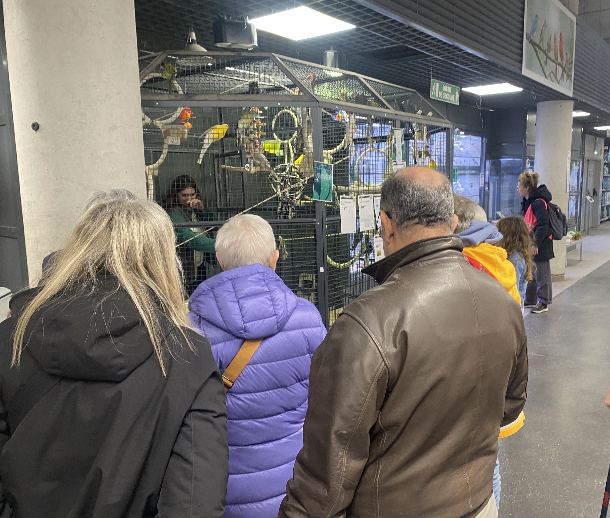 Sorties mois de mars 2025 – LPDS