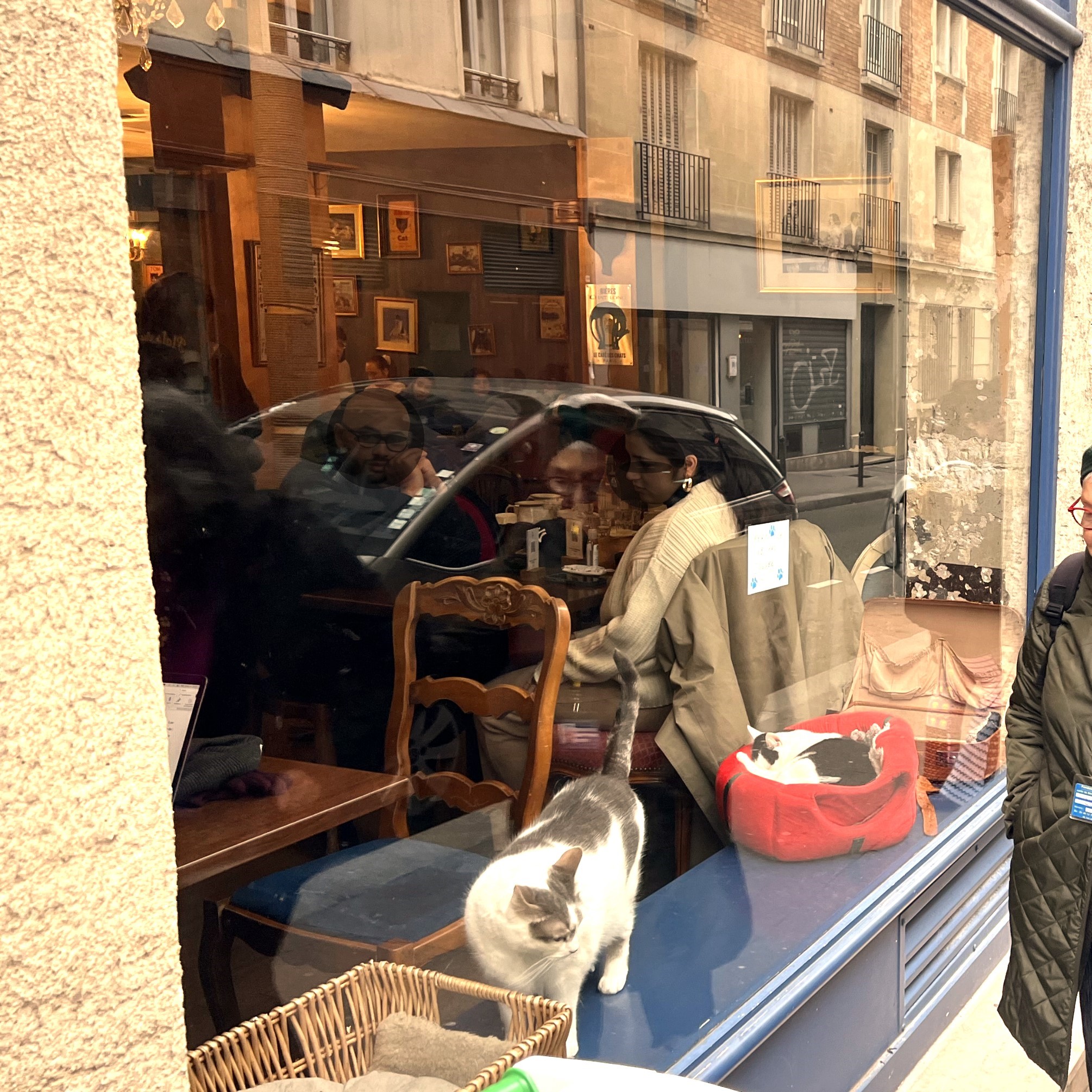 Sorties de Janvier
